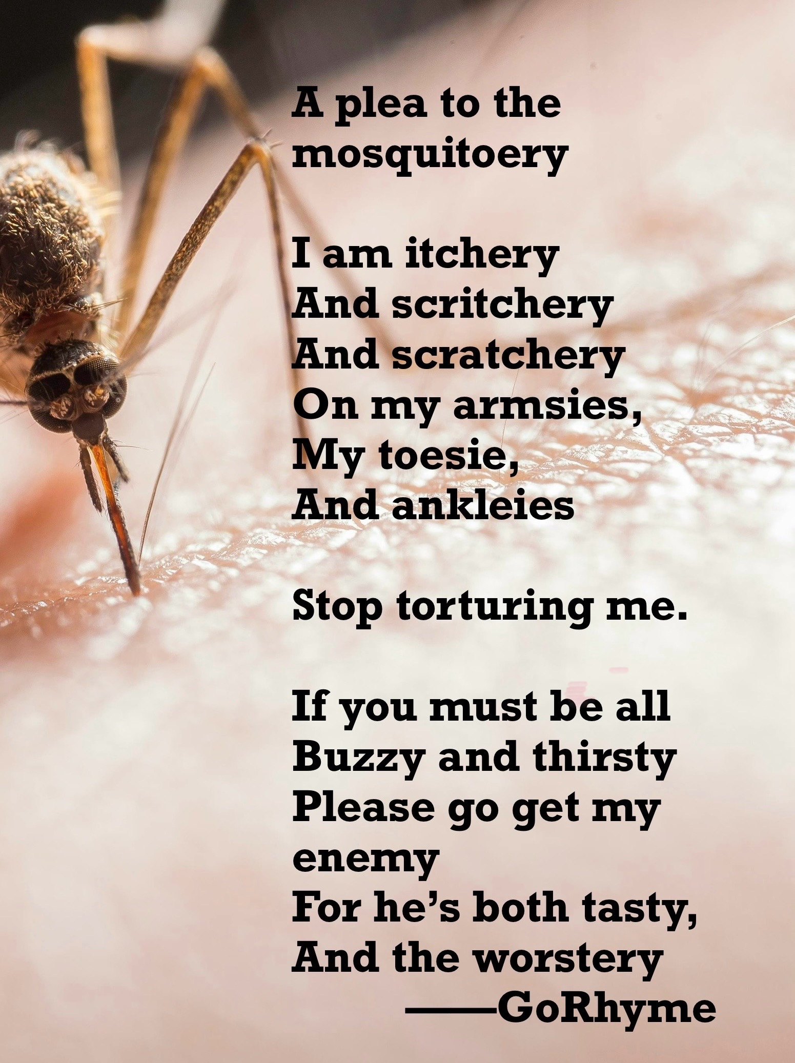 Poetry by Kelly Gray